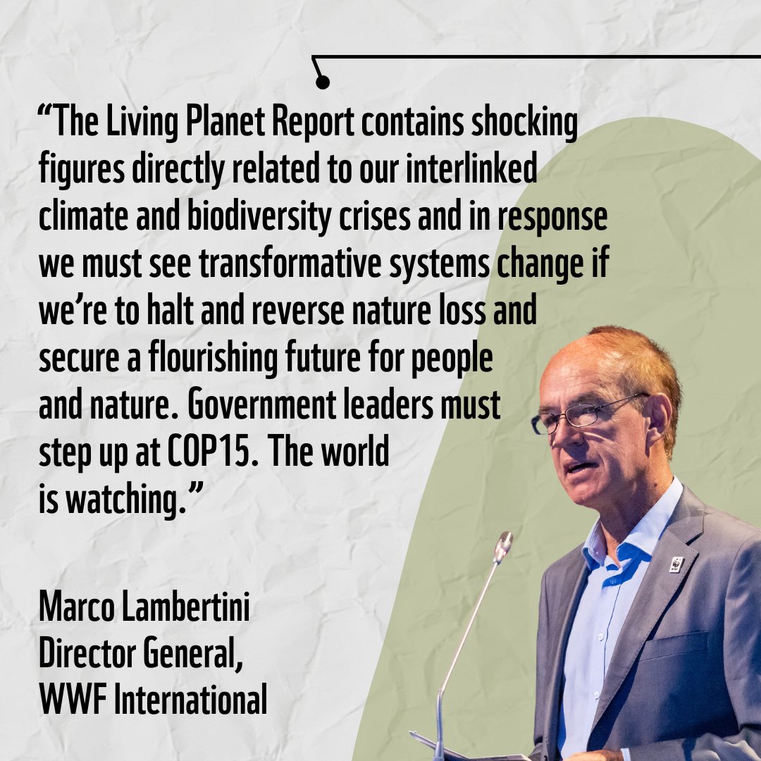 NatureDeal's tweet photo. Latest data show shocking loss of wildlife populations. We need urgent and transformative action to save our natural world. ⚠️🌍

@WWF_DG #ForNature #COP15 #LivingPlanet #LPR2022 https://t.co/ZhKjgrMyEM
