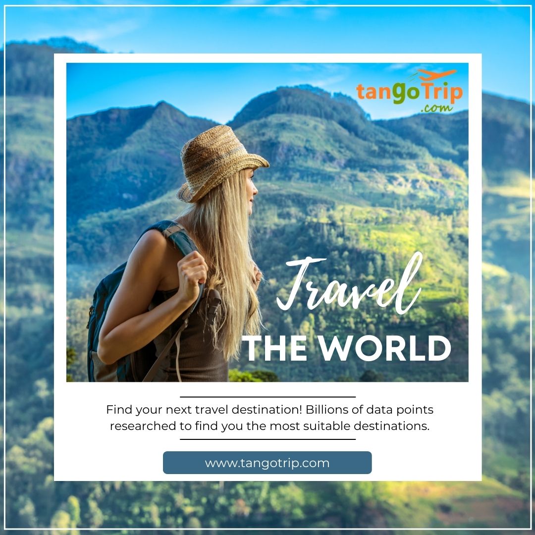 tango_trip's tweet photo. Choose from dozens of Holiday Packages &amp; Book your Dream Vacation with TangoTrip! Grab exciting discounts for your upcoming Holidays to our most-loved destinations!
Visit Us- https://t.co/4l1DjeHjMv
#tangotrip #instatravel #domestictour #opentrip #travelservice #tavelling https://t.co/jjM6jjgAXE