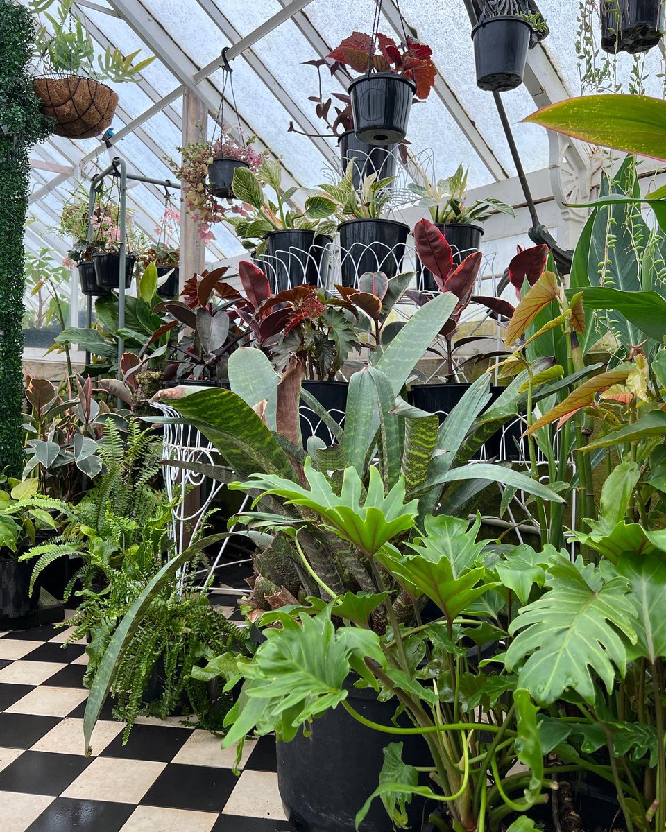 Cameron Tasker tweet media