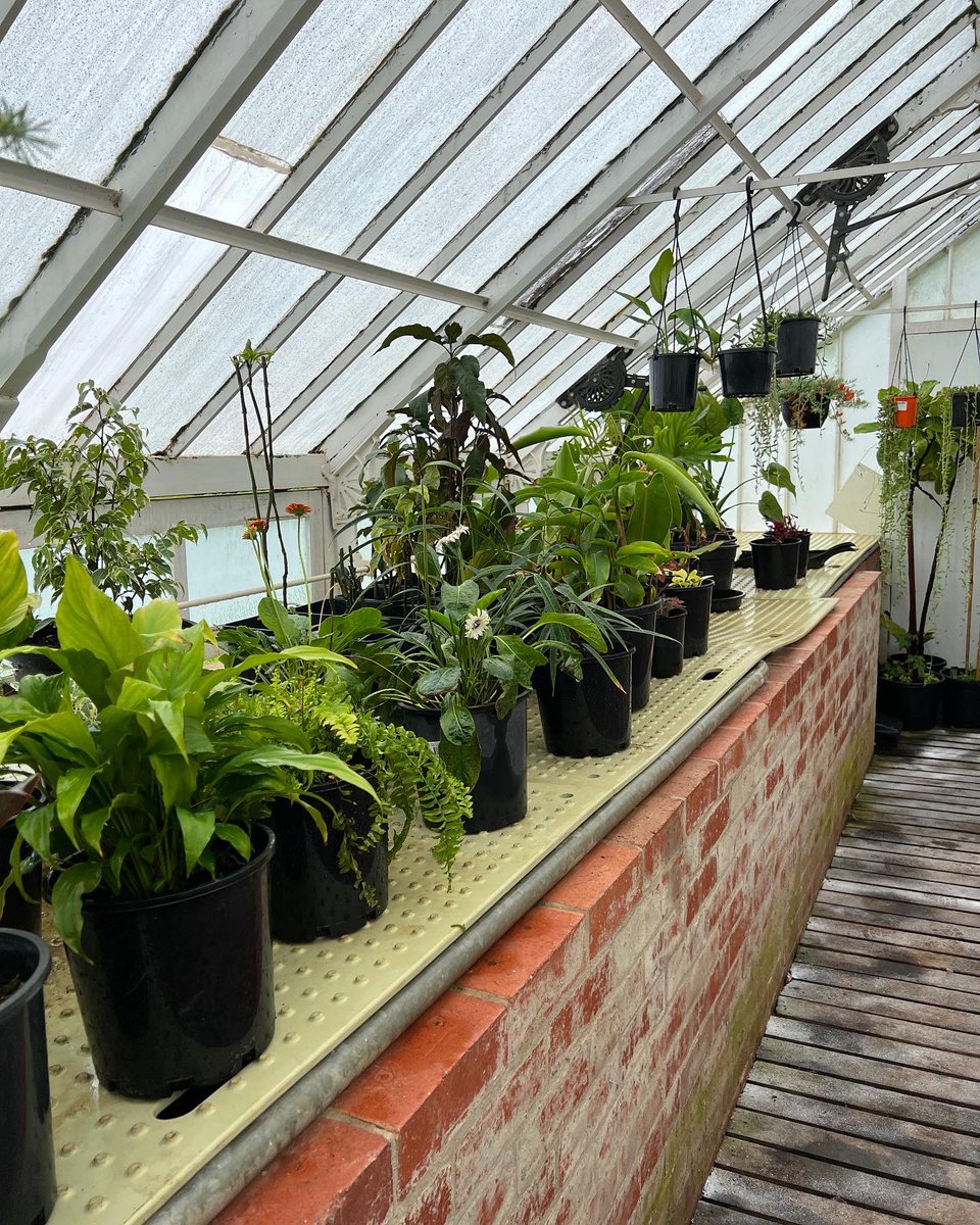 Cameron Tasker tweet media