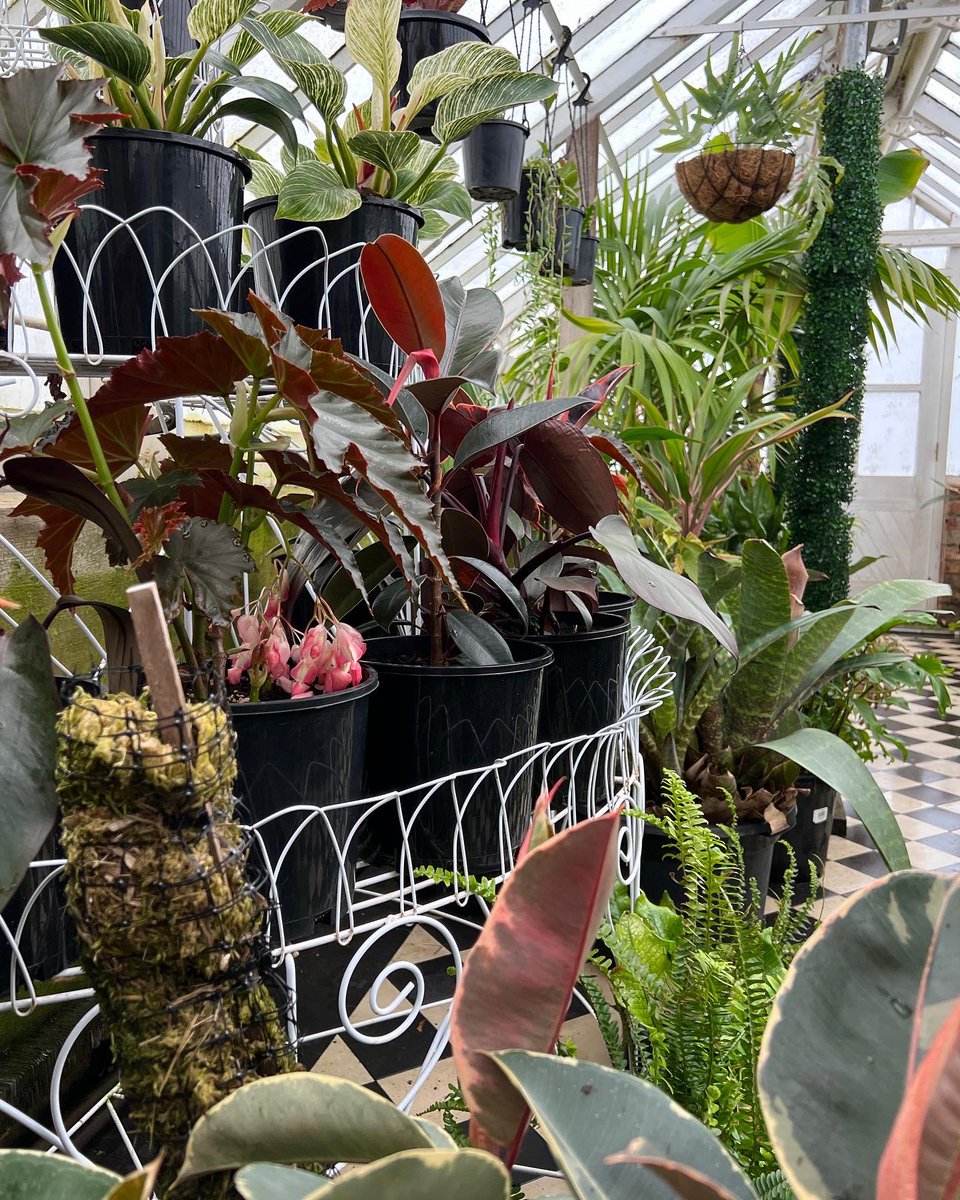 Cameron Tasker tweet media