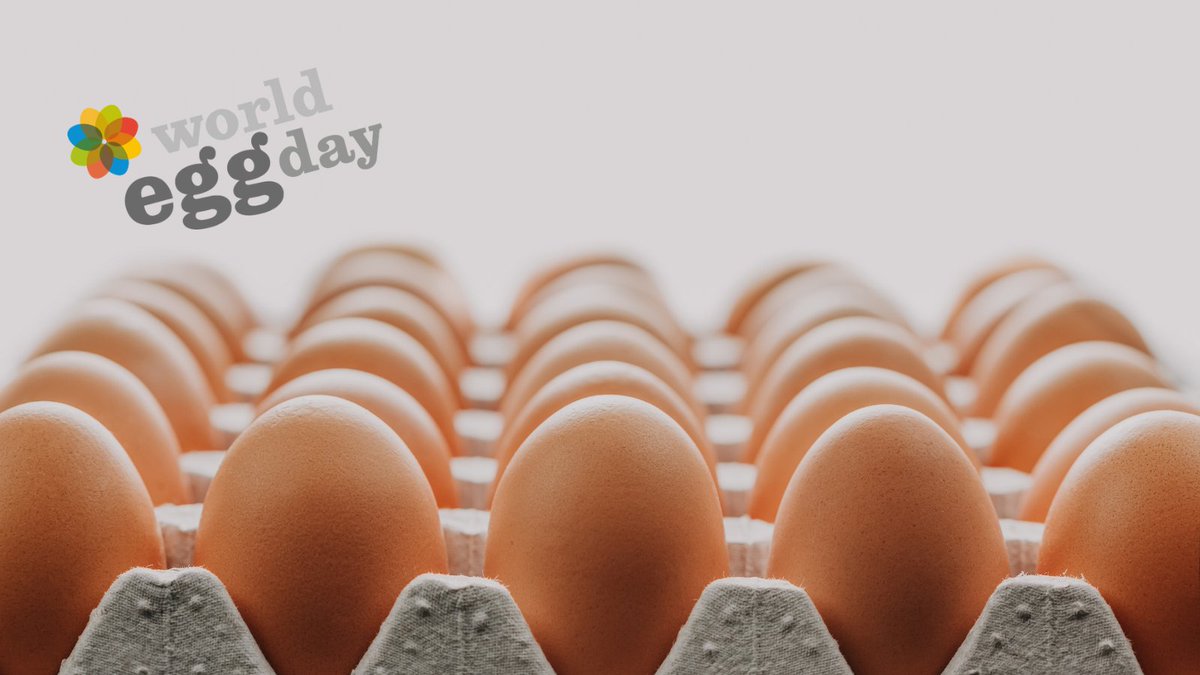 AuthenticateIS's tweet image. 🍳Managing egg supply chains causing you to crack up? 

This #WorldEggDay, why not get in touch to see how our technology can help to automate supplier assurance scheme status checks and collect laying hen welfare data using KPIs to improve supplier performance.