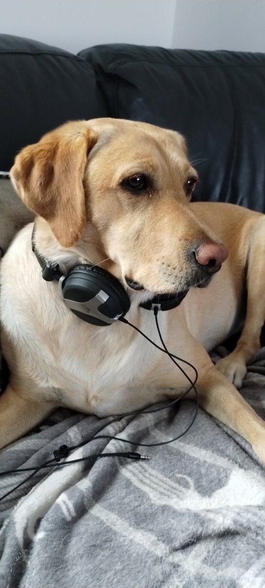 adyhowes's tweet photo. Have you ever wondered who edits the @MindToolsFB podcast? #HelpWithDigital https://t.co/DfFBtcyxTf