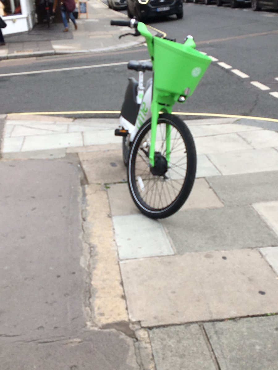 Friends of Churchill Gdns Conservation Area 🍃💚🍃 tweet media