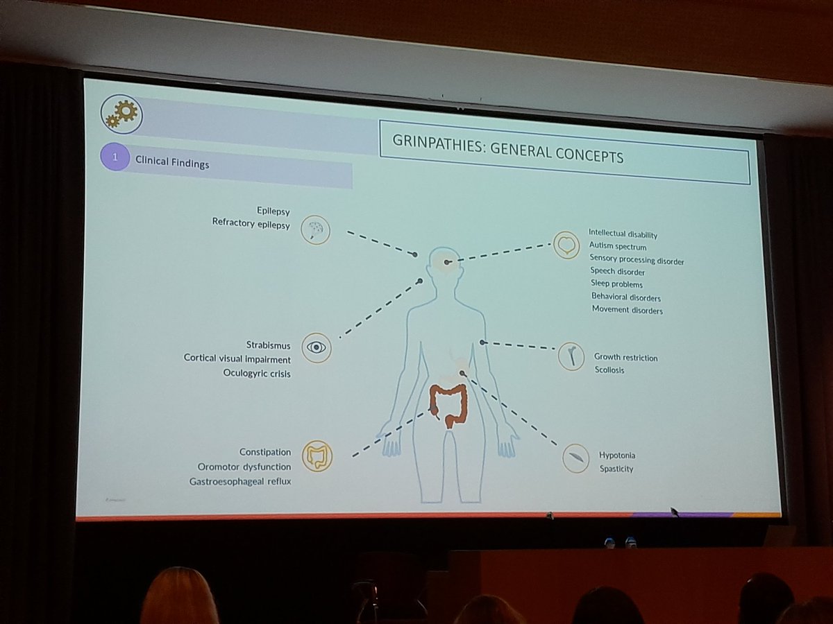 FiladelfiaGene1's tweet photo. Excellent talks on #GRINpathies by Natalia Julia and @stephane_auvin 👏👏

Natalia showed that L-Serine should be considered in #GRIN LOF disease, whereas Stephane showed that #Radiprodil is a promising treatment option for patients with #GRIN2B GOF disease‼️
#PrecisionMedicine https://t.co/BjG6QAekNb