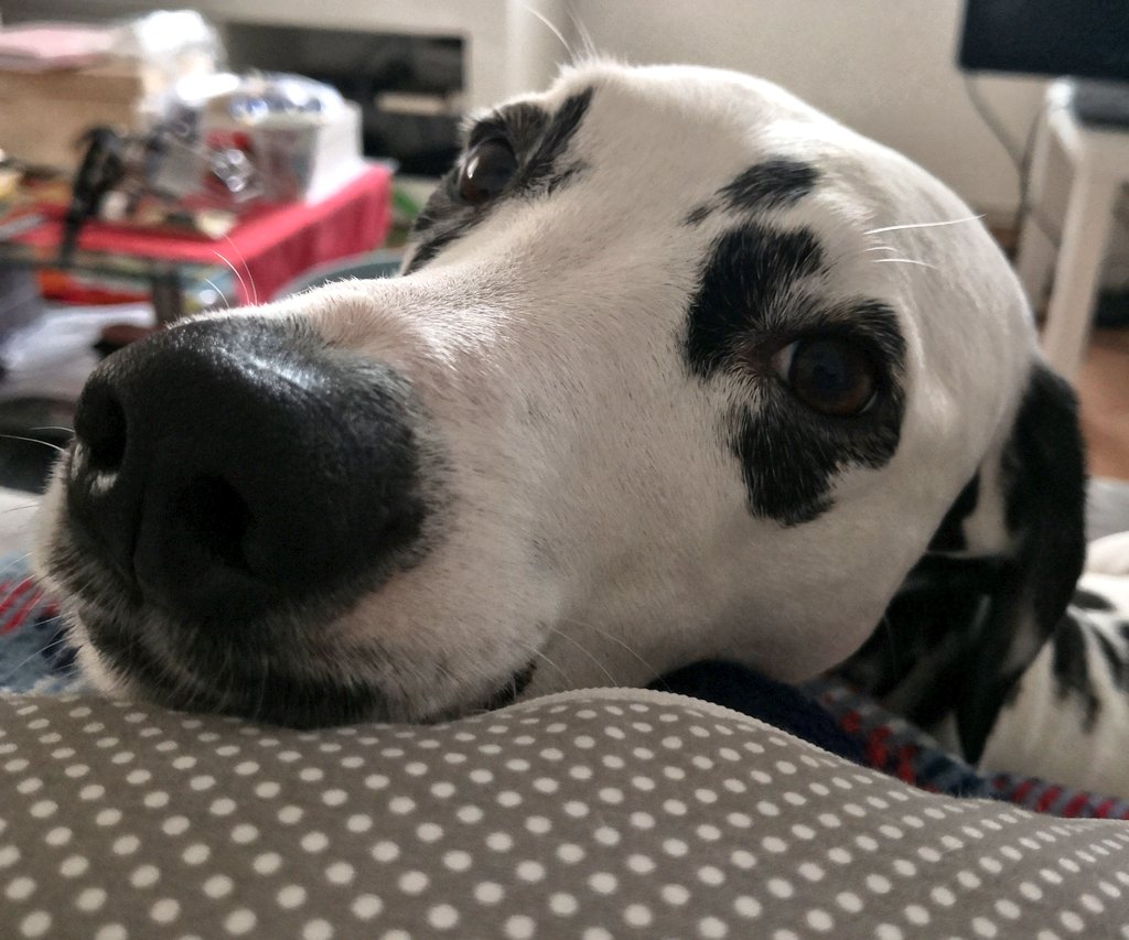 Guten Start ins Wochenende ihr Lieben 😊