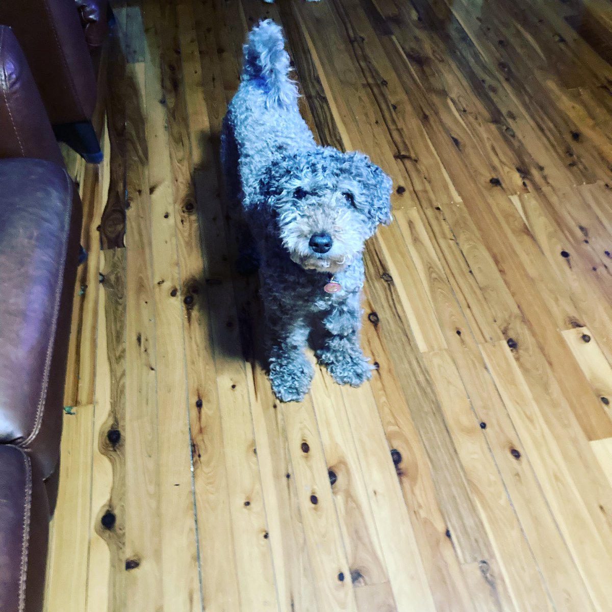 Dane Hiser tweet media