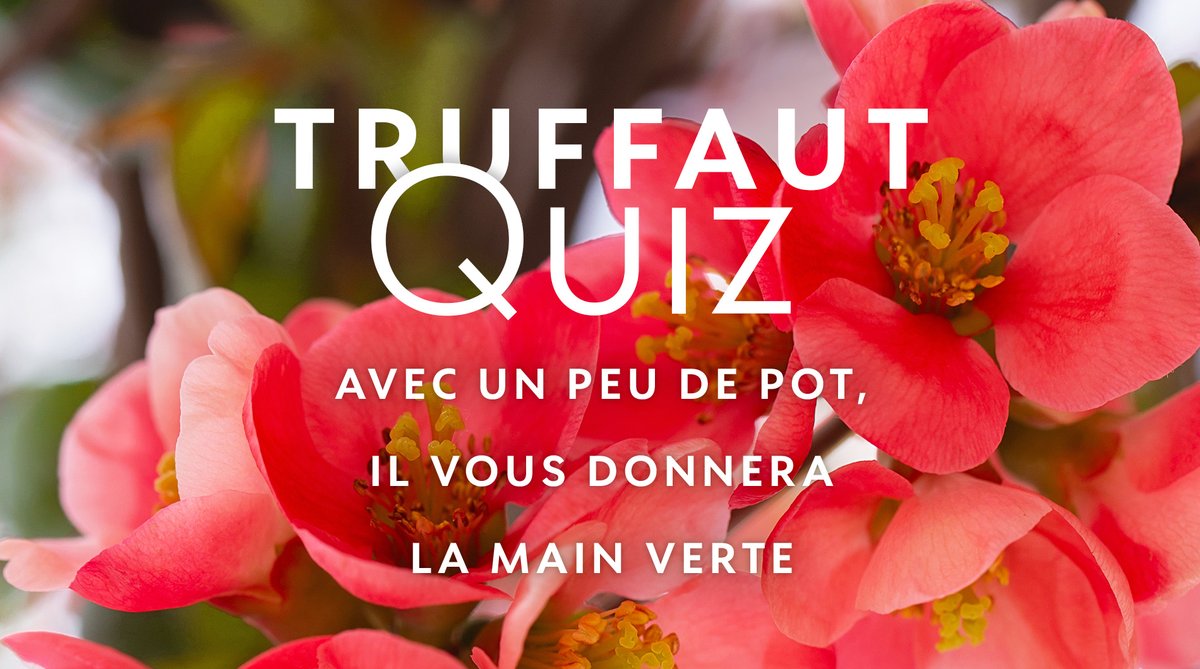 Truffaut's tweet photo. 📍Découvrez les réponses de notre dernier #TruffautQuiz sur le cognassier du Japon 🌿🌸#VPNP
1. Le cognassier du Japon a des épines ✅
2. Ses fleurs apparaissent en mars-avril ✅
3. Ses fruits sont jaunes avec des taches oranges ✅
Merci d'avoir participé 😊 https://t.co/Ps5QwGCmr4