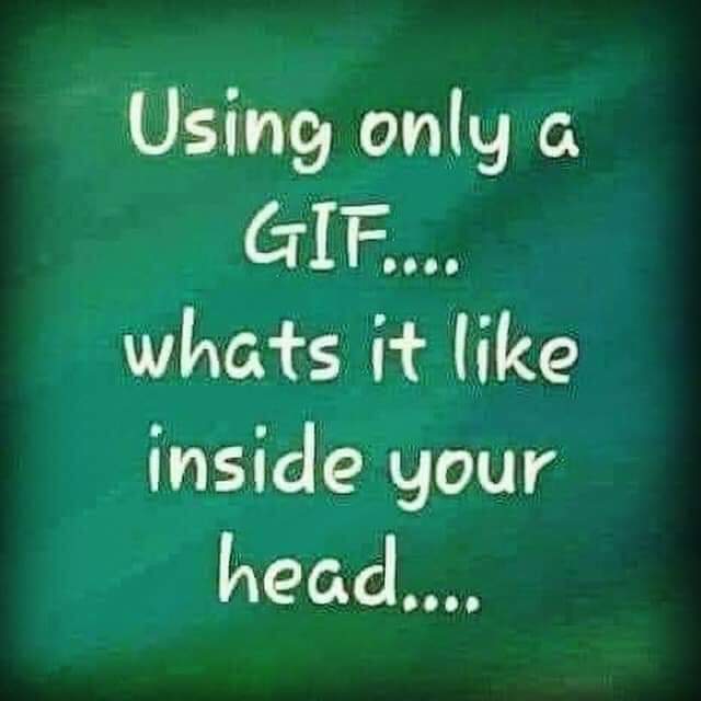 JamesJo56909490's tweet photo. Good morning Good people of the interweb. 
                    🤯🤣🤯 https://t.co/NeDmQzcNrD