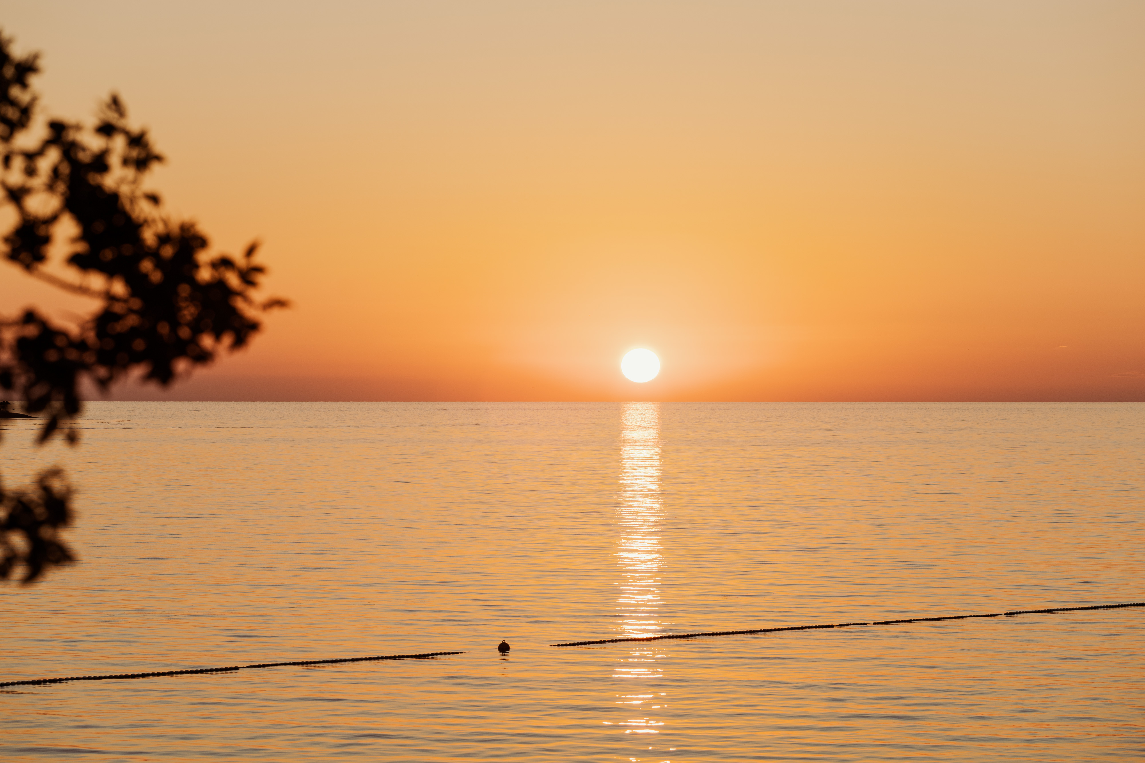 magges höfi (der_magges) / Twitter