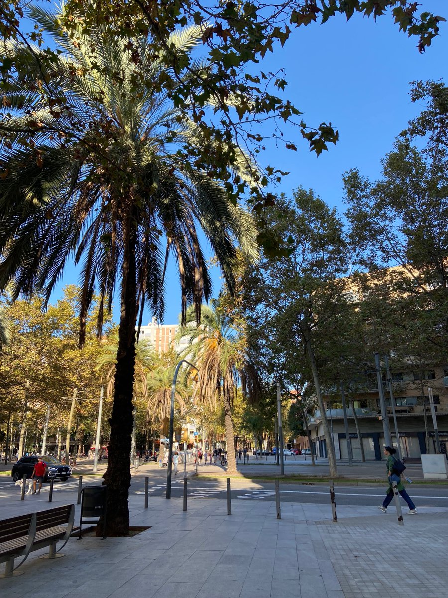 INSPIREquality_'s tweet photo. Another day of insightful discussions with our partners in beautiful Barcelona! 🌞
The 2nd part of our Kick-off Meeting is now on and we are looking forward to further discussing our objectives and strategy for INSPIRE! 🚀✨
#INSPIREKickOff #INSPIREquality #HorizonEU https://t.co/b1vFphY4Np