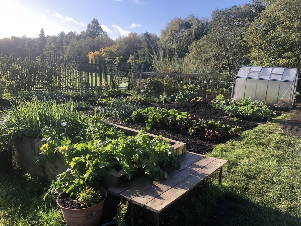 YouthActionNI's tweet photo. All set for our connect with nature in service training day in Grow Community Garden #Lifemaps @OURGenCYP1 @SEUPB @TNLComFundNI https://t.co/zvb1GhqOSo