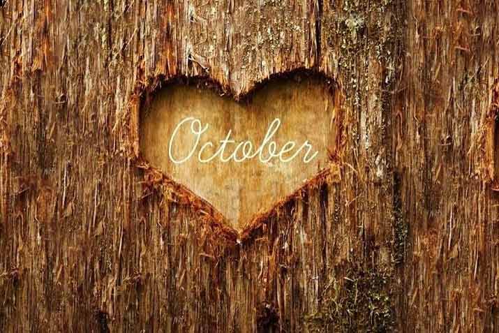 Wednesday 19/10/22
We have 6 spaces for ONE of the following three options and a two course meal 
Option One Spa Manicure and Spa Pedicure 
Option Two  Spa Manicure and Kaeso Facial 
Option Three Spa Pedicure and Kaeso Facial 
All for the amazing price of £25 ring 01706 751106