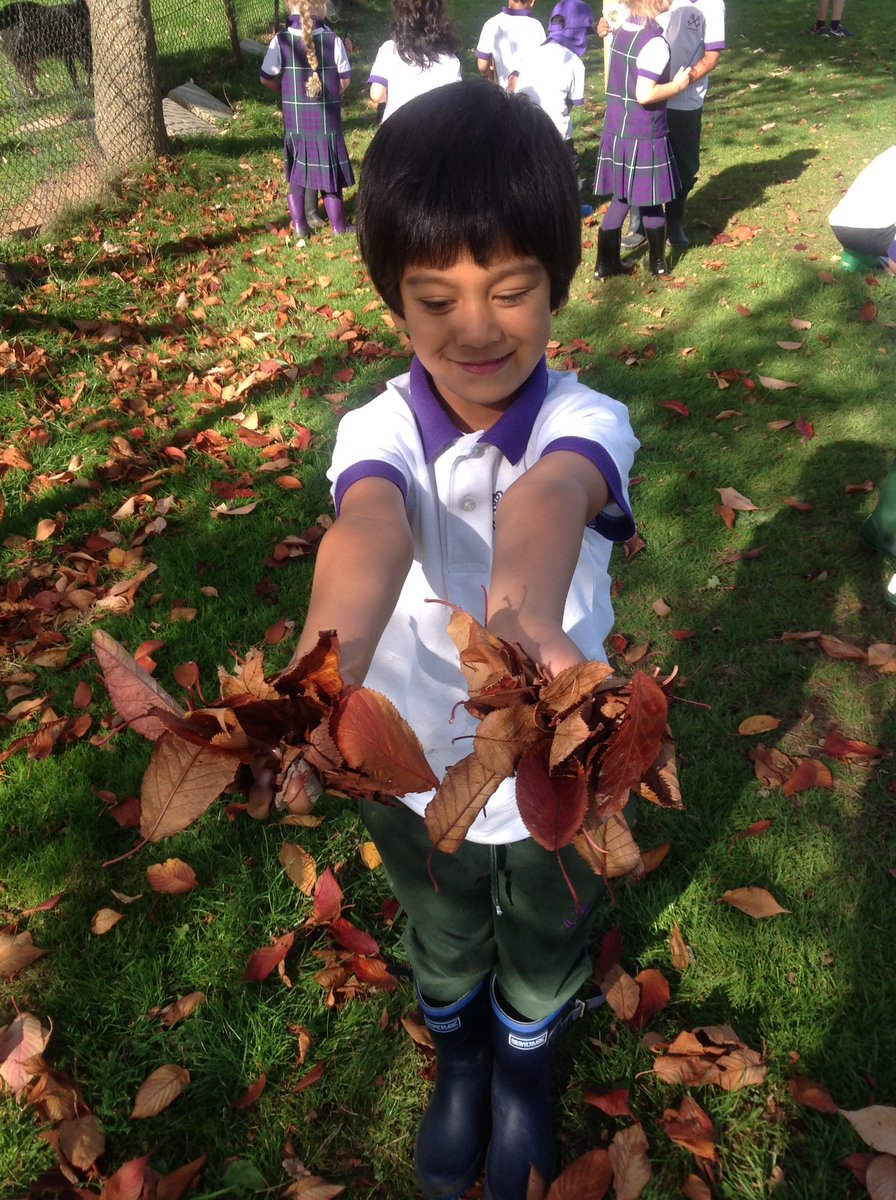 YH_EarlyYears's tweet photo. #YorkHouseReception went on a walk around our school grounds this week to spot the signs of autumn and to collect autumn treasures to use in our learning in the classroom 🍂 #AdventureAwaits #TheYorkHouseWay https://t.co/MYgm1XFFu5