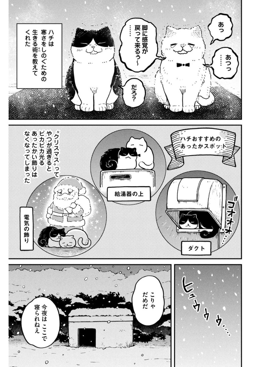 冬の寒い日、野良猫たちの過ごし方 (2/3) 