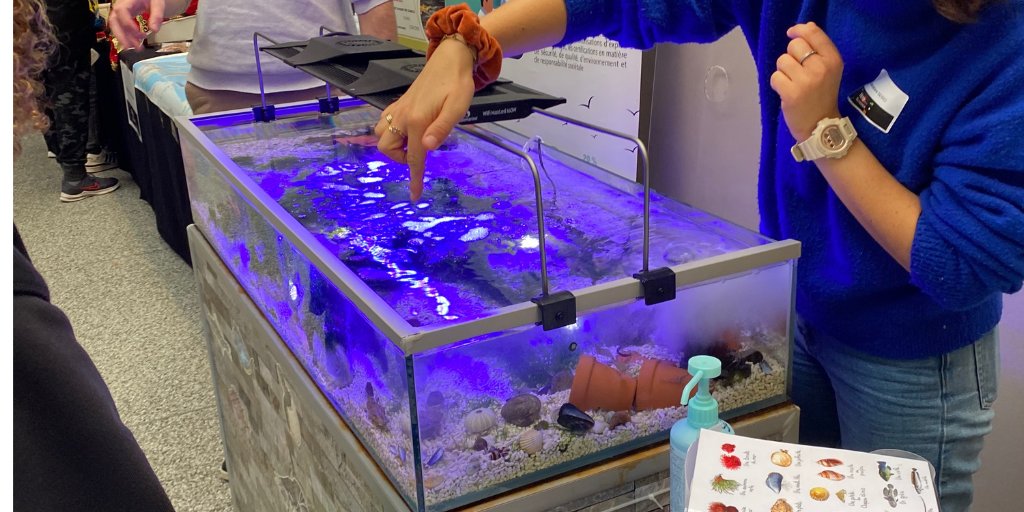 Univ_LeHavre's tweet photo. 🧪#FDS22
La village des Sciences accueille ses visiteurs depuis hier ! Stands, ateliers, expositions et rencontres avec les chercheurs de l'#ulhn à l'Hôtel de ville du Havre ! 
Infos et programme 👉 https://t.co/b3EWfbxChl https://t.co/B6VMU5uOYF
