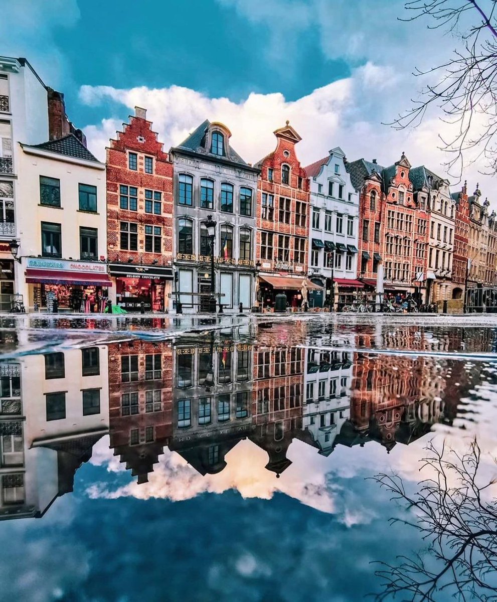 Travel Tomorrow tweet media