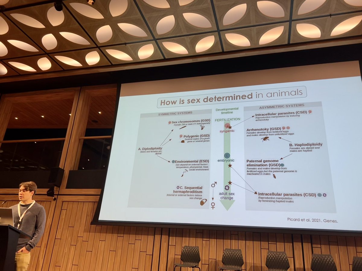 Sponge_2022 tweet media