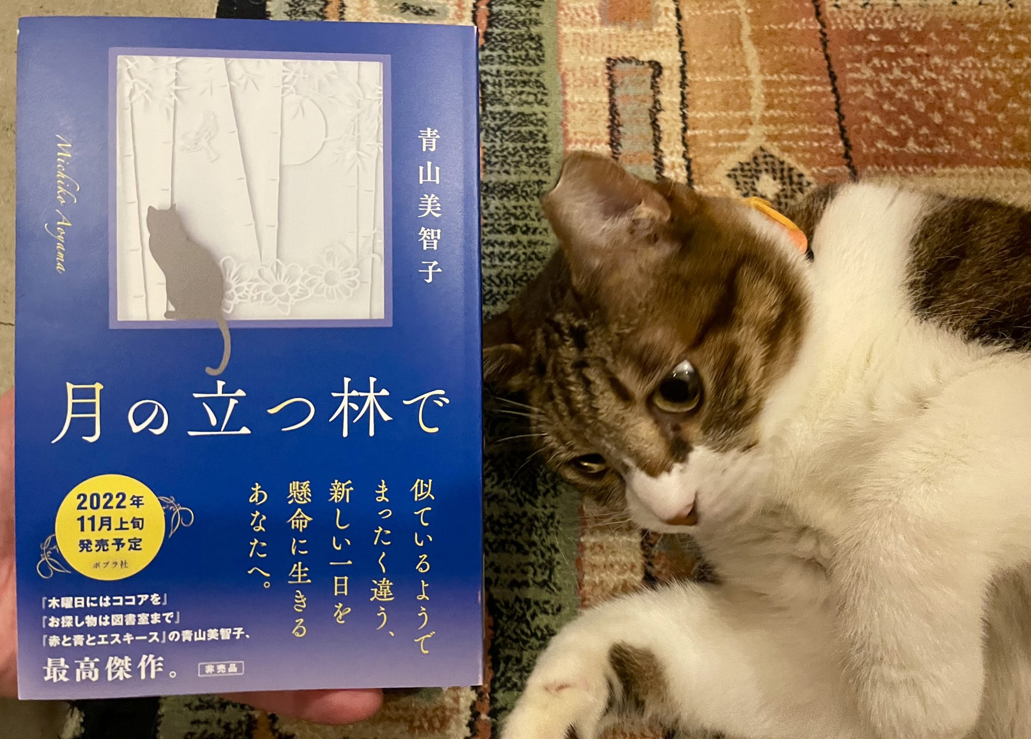 お探し物は図書室まで 木曜日にはココアを ただいま神様当番 青山