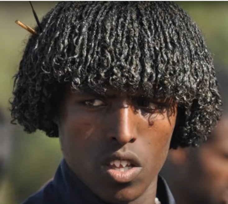 mzeesiraj's tweet photo. Images:- Faces of the #Afar people.

Danakil and Afar, two sides of the same coin.

#Afar people in the past history of the Horn of #Africa region.

"Thread"

@SamaraunivEthio, @khaj_nat , @AfariShifa , @AfariShifa , @VoiceOfAfar2, @BigL5s, @AfarWatch. https://t.co/qNvaNEajtN