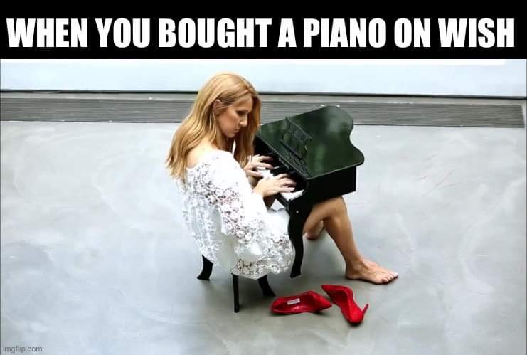 LesRedHeads's tweet photo. Quand tu as acheté un piano sur Wish...
@celinedion https://t.co/M1mUvYCmvX