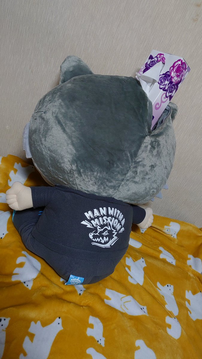 _ 発注してたのすっかり忘れてた😳💦💦 超ドでかボイさん到着🐺💨 こう