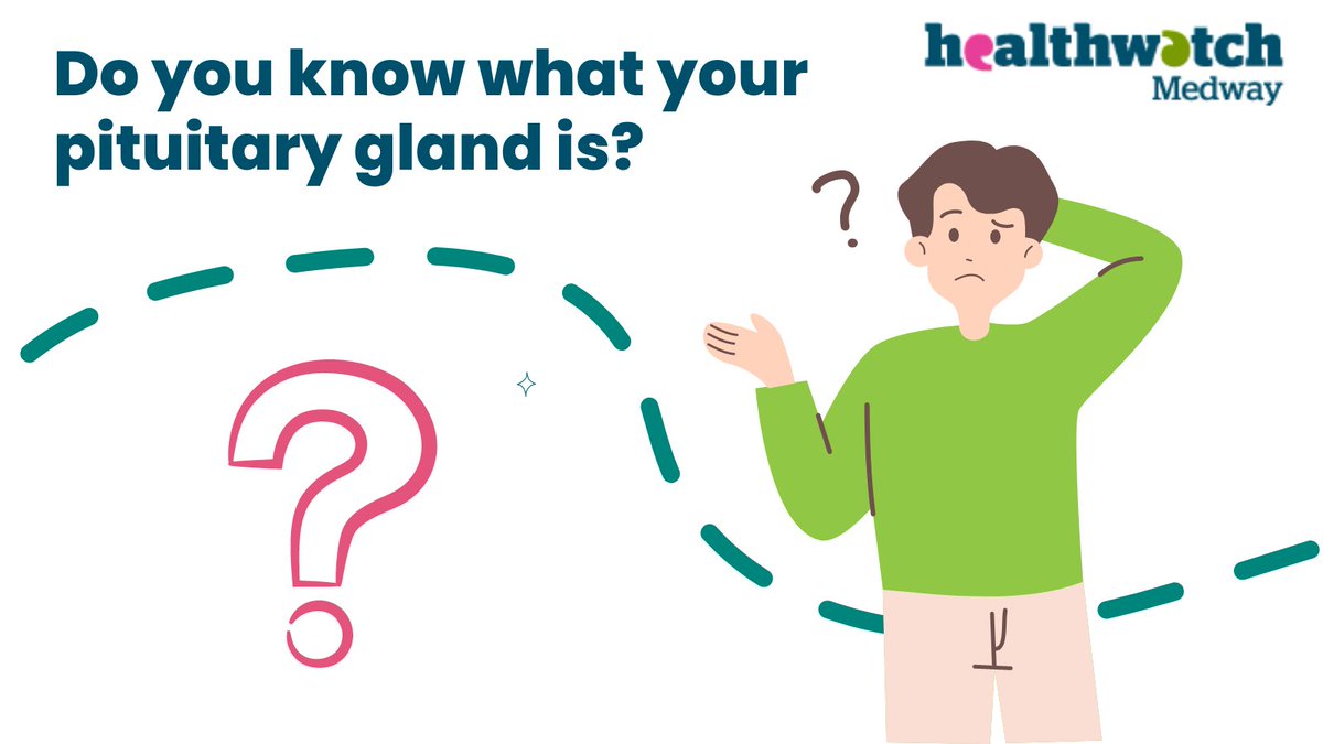 HWMedway's tweet photo. Do you know what your pituitary gland is? Read more information here: https://t.co/06IjoxtDJY
#pituitarygland  #awarenesmonth https://t.co/y9zcgtIBJU