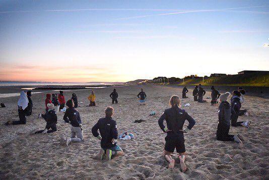 Fiona Ferro tweet media