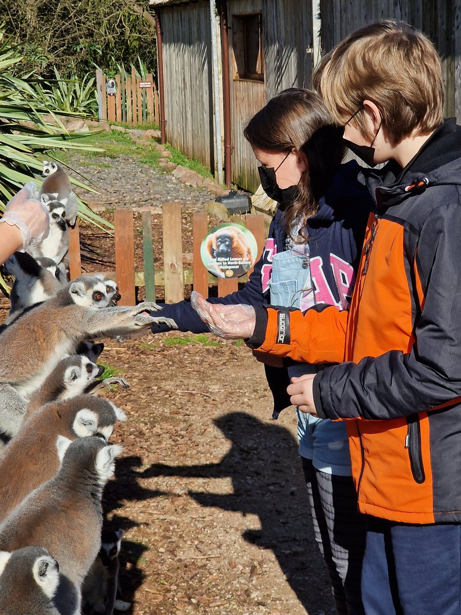 Fabulous day yesterday at at South Lakes Safari Zoo. Kids loved feeding the animals and the weather was 🌞 

#lakedistrict