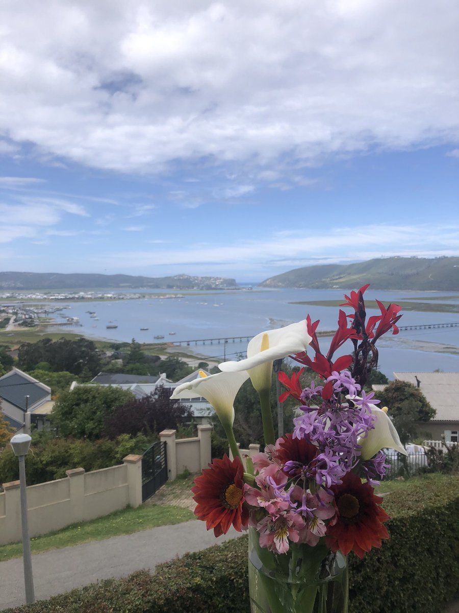 deView_BnB's tweet photo. #knysna in all its splendour #flowersfromthegarden #deviewbnb #accommodation https://t.co/KHB99oGgJD