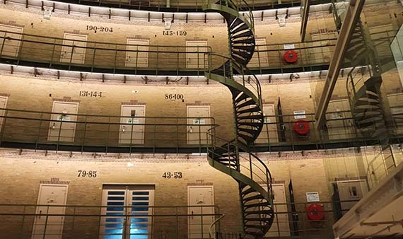 Noord-Holland tweet media