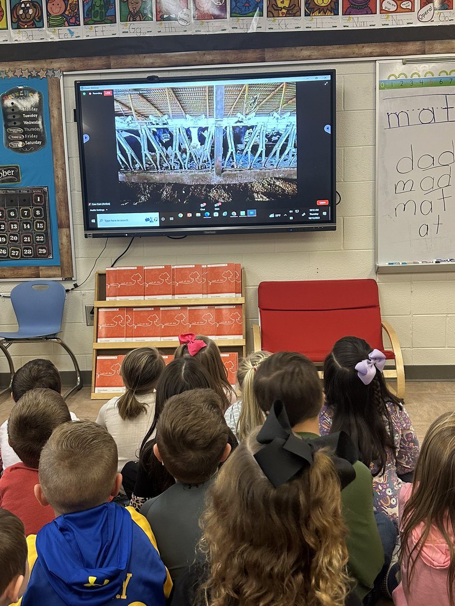 emchargue1's tweet photo. My class has adopted a cow to watch it grow throughout the year. Today we were introduced to Clearview Dairy Farm in Michigan to learn about how they take care of their cows, how often they milk them, and how the milk gets from the cows to the cooler. Thank you @MilkMeansMore https://t.co/eaP611DiR7