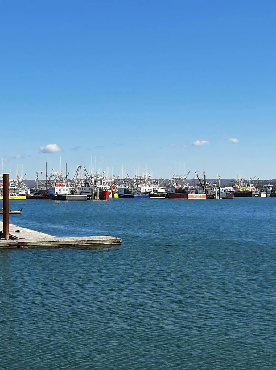 Spartan Marine would like to wish all of the fishers in District 35 a safe and prosperous dumping day! 

For all of your industrial marine needs, we are here for you. 

buff.ly/2DNKgeu