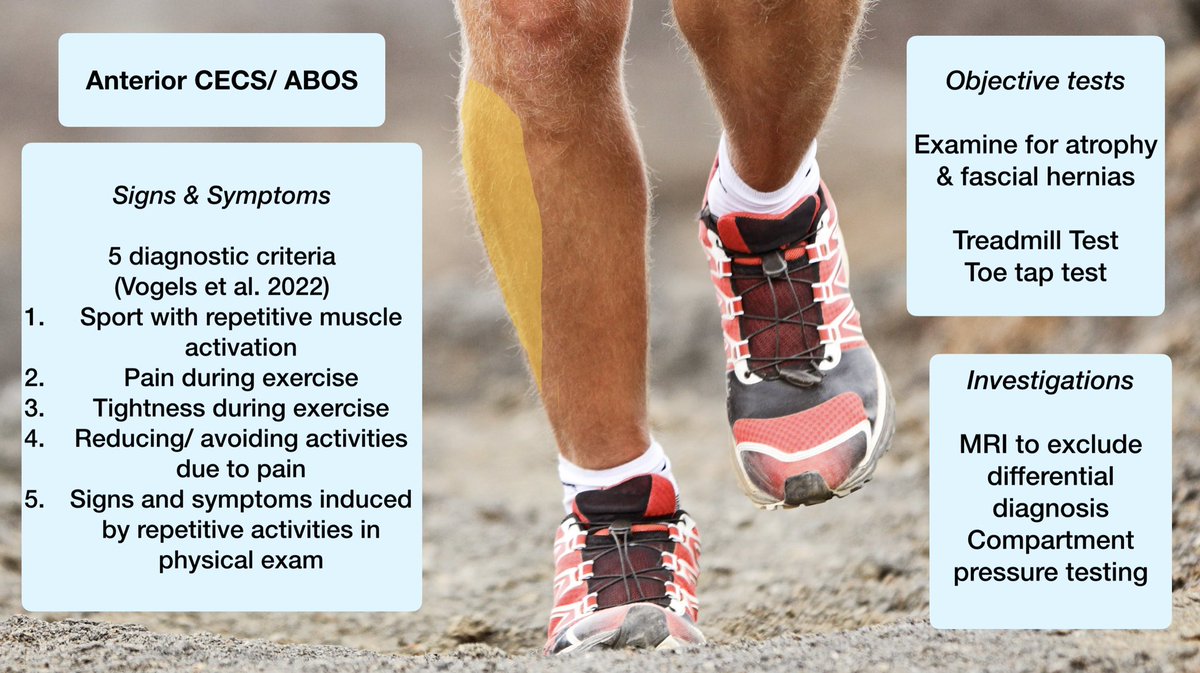 Running-Physio tweet media