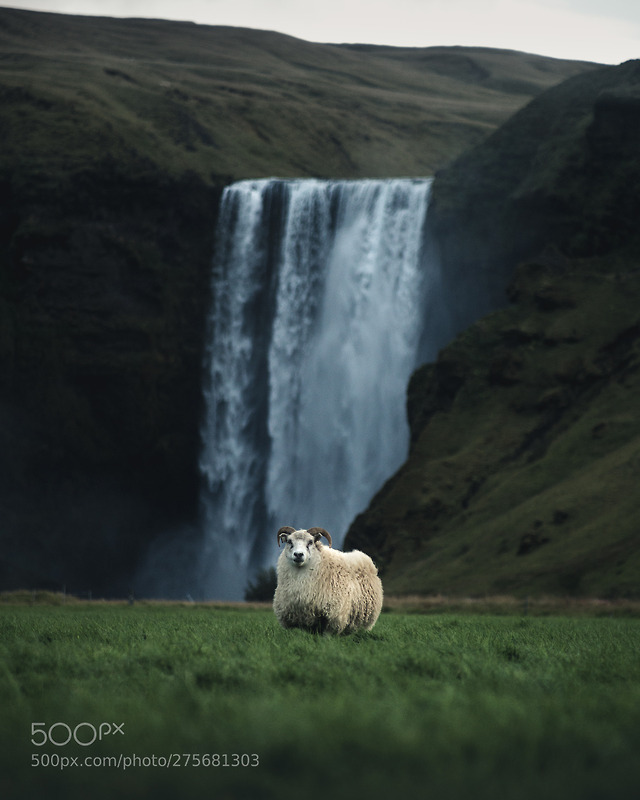 Icelandic portrait by borisbarabas