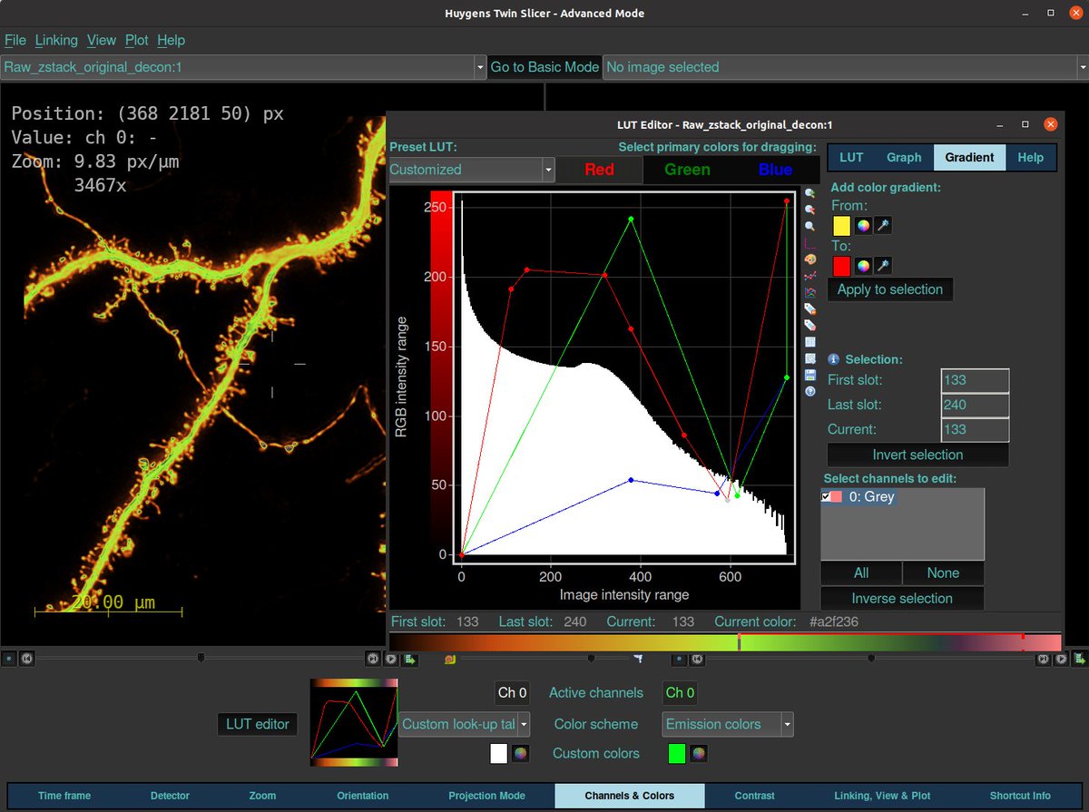 svi_huygens's tweet photo. Microscopists! Join our free #webinar Oct. 25 on our new Look-UpTable (LUT) and learn how to rapidly get publication-ready figures aligned to #FAIR data guidelines. Sign up: https://t.co/dM2Bdgm448 #imaging #microscopy #imaging #phd #phdlearning #science #vizualization #rendering https://t.co/38VJDa7xXu