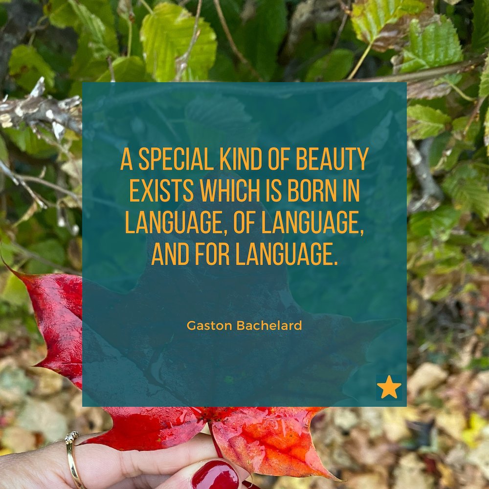 vaultrice's tweet photo. "A special kind of beauty exists which is born in language, of language, and for language."
Gaston Bachelard
#localistars #translator #translation #l10n #t9n #xl8 #m17n #translationjob #freelancetranslator #translationagency #quoteoftheday #gastonbachelard https://t.co/xAUNbugDce