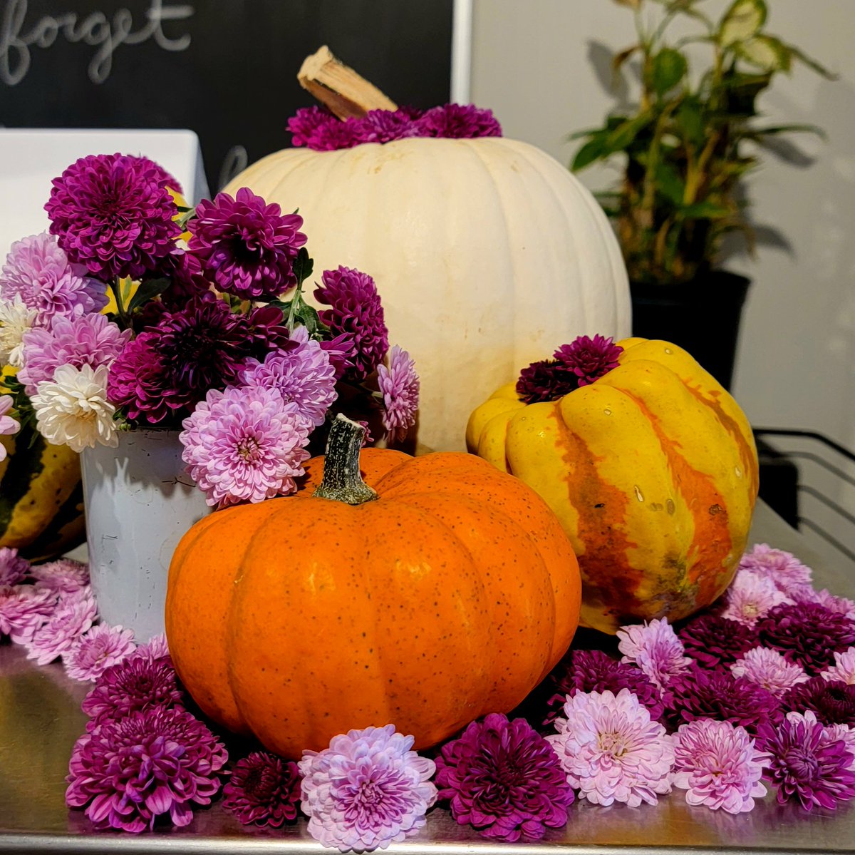SashaRose777's tweet photo. Y'all are so serious on here... 
Enjoy some pumpkin art I made.
Flowers are fun 🌸✌️
#FridayFeeling https://t.co/cPWwuzQBzH