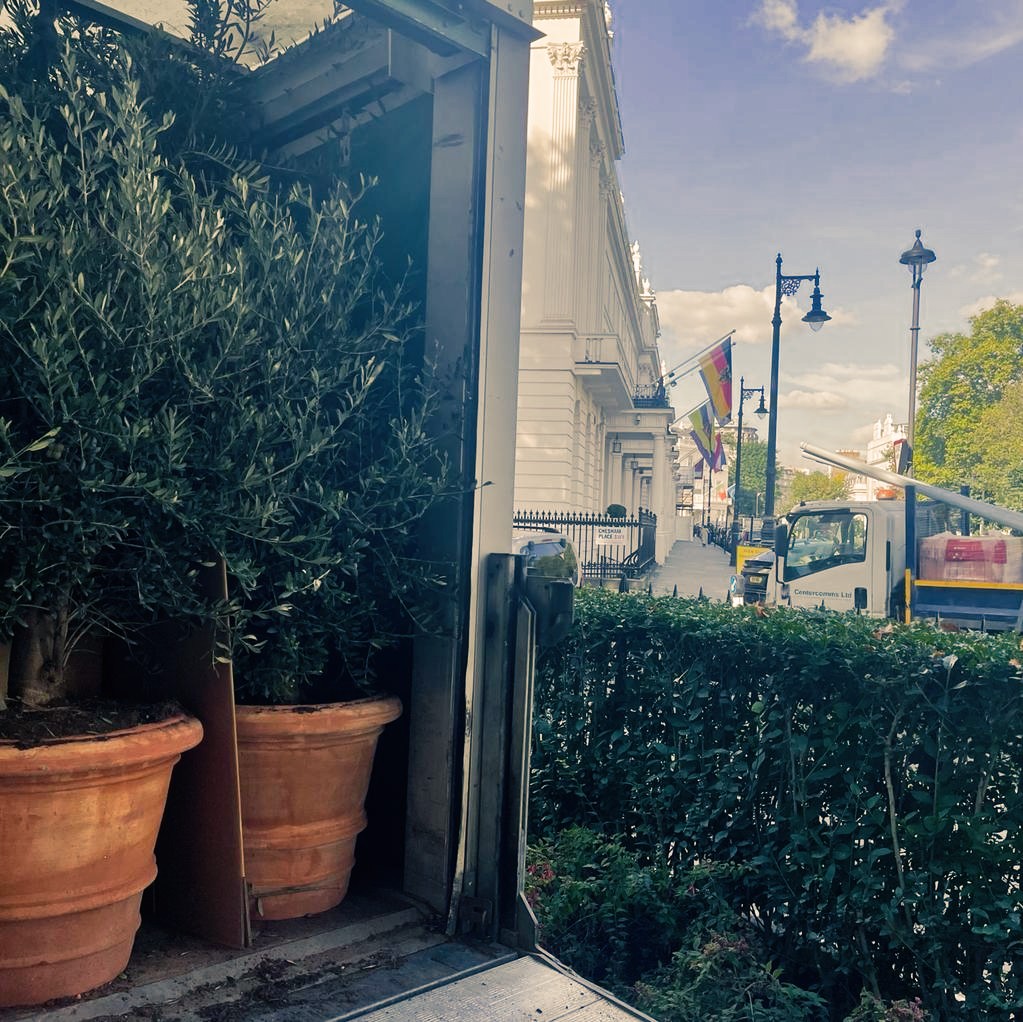 Villaggio Verde tweet media