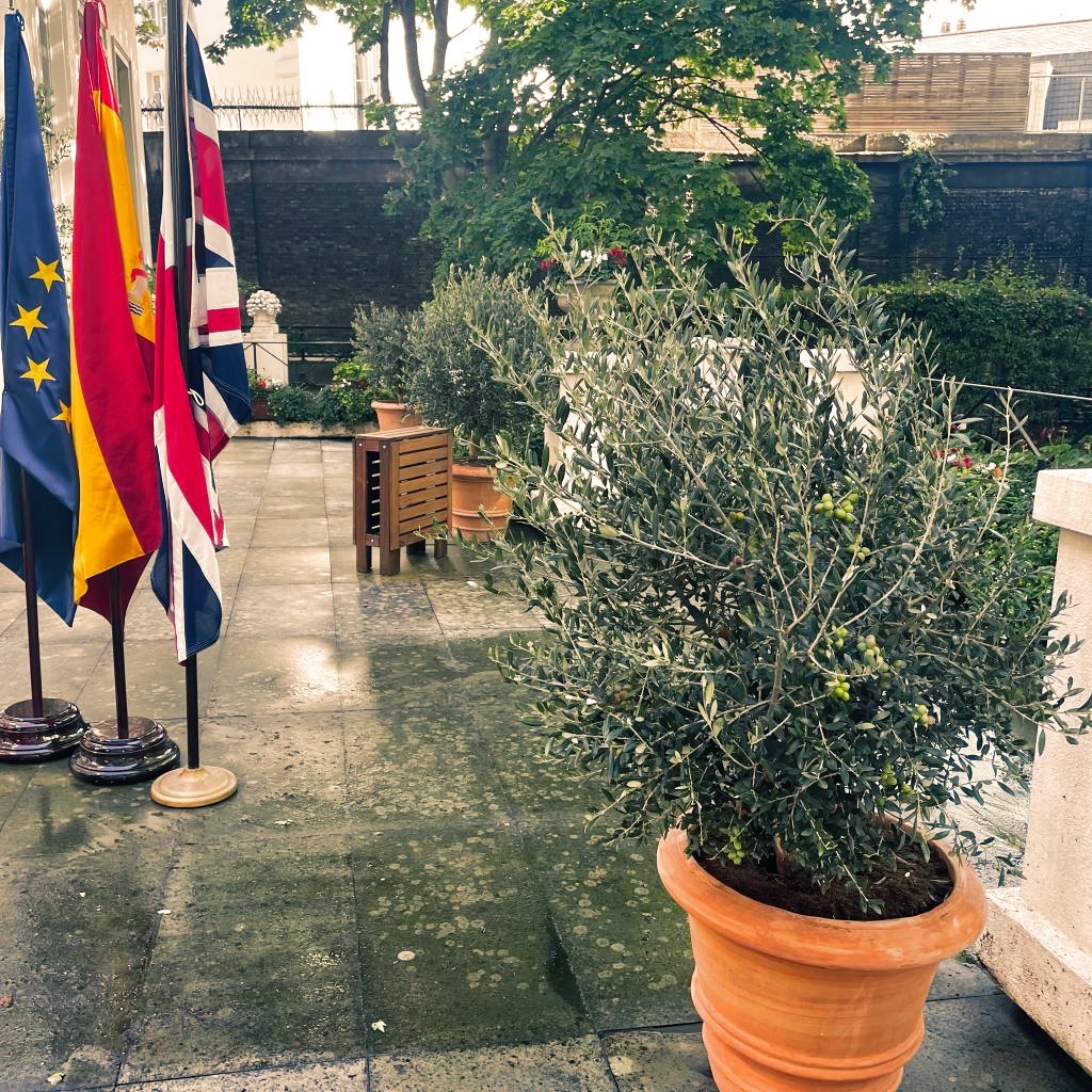 Villaggio Verde tweet media