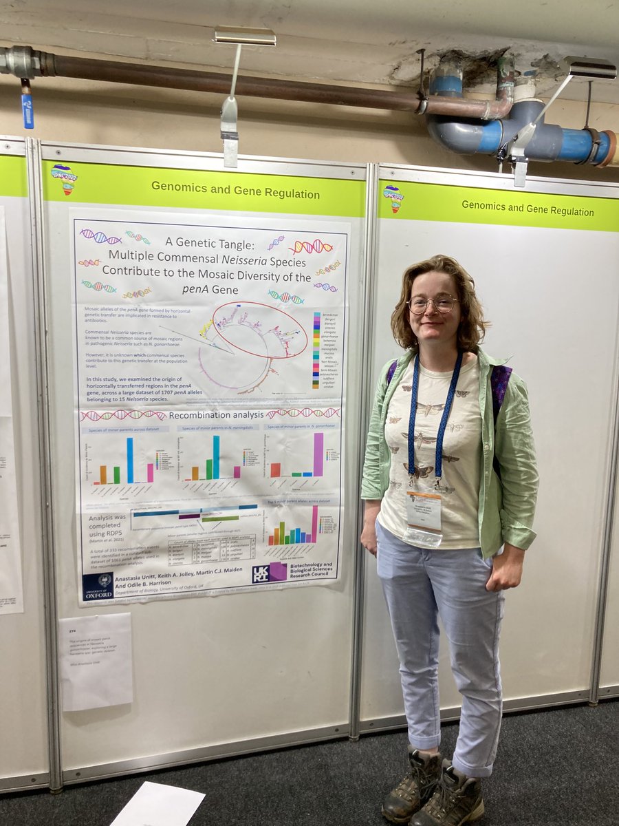 Odile Harrison tweet media