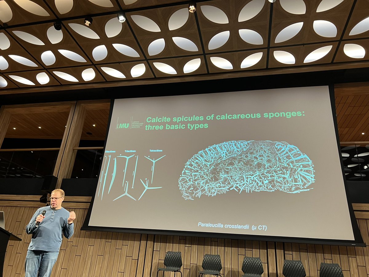 Sponge_2022 tweet media