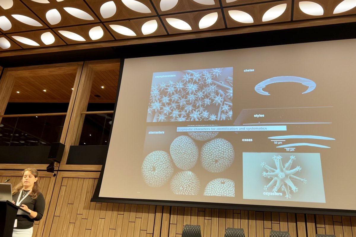 Sponge_2022 tweet media