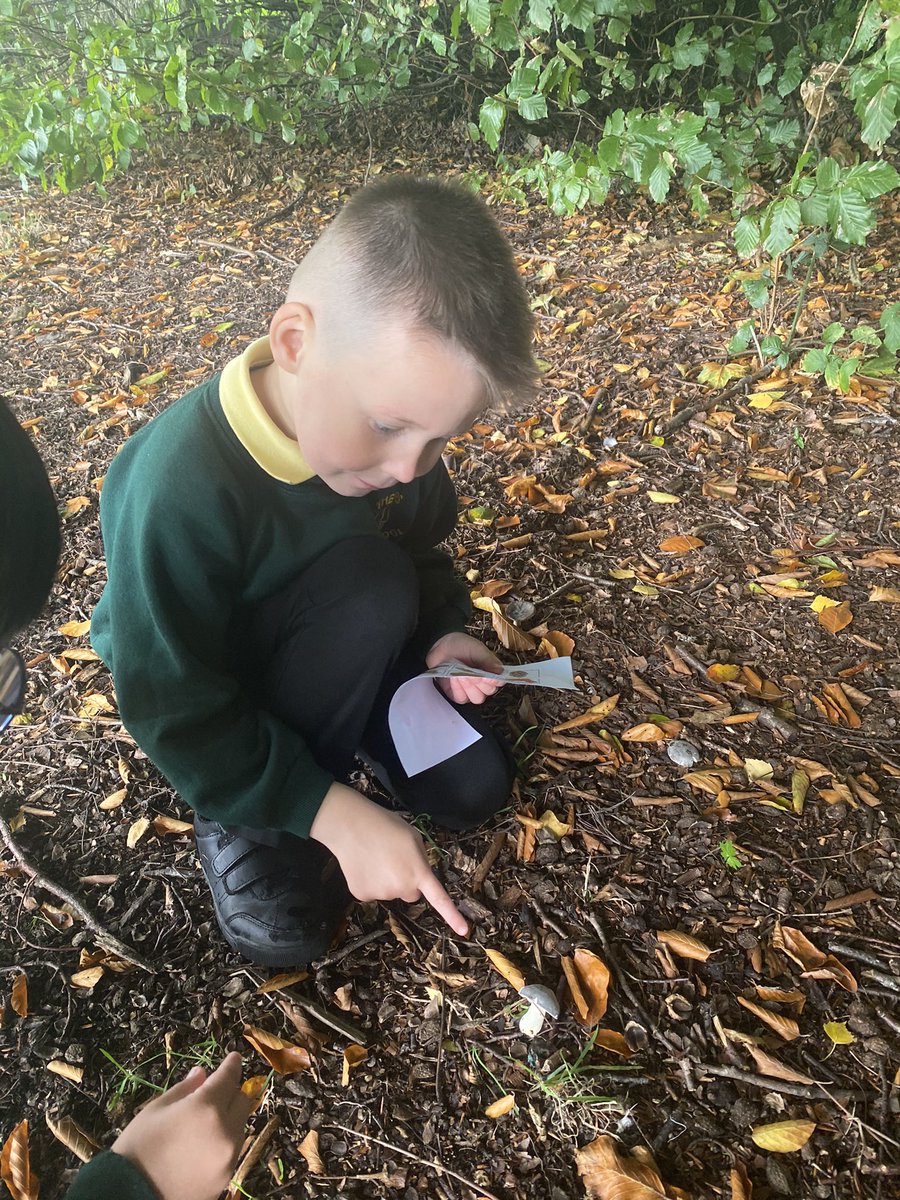 firsprimarysale's tweet image. #Y1Apple We enjoyed exploring our outdoor environment and identified lots of features of autumn! 🍁