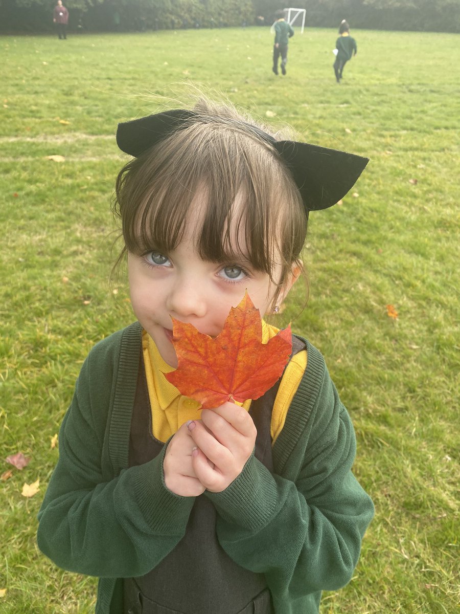 firsprimarysale's tweet image. #Y1Apple We enjoyed exploring our outdoor environment and identified lots of features of autumn! 🍁