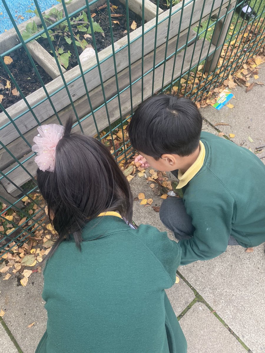 firsprimarysale's tweet image. #Y1Apple We enjoyed exploring our outdoor environment and identified lots of features of autumn! 🍁