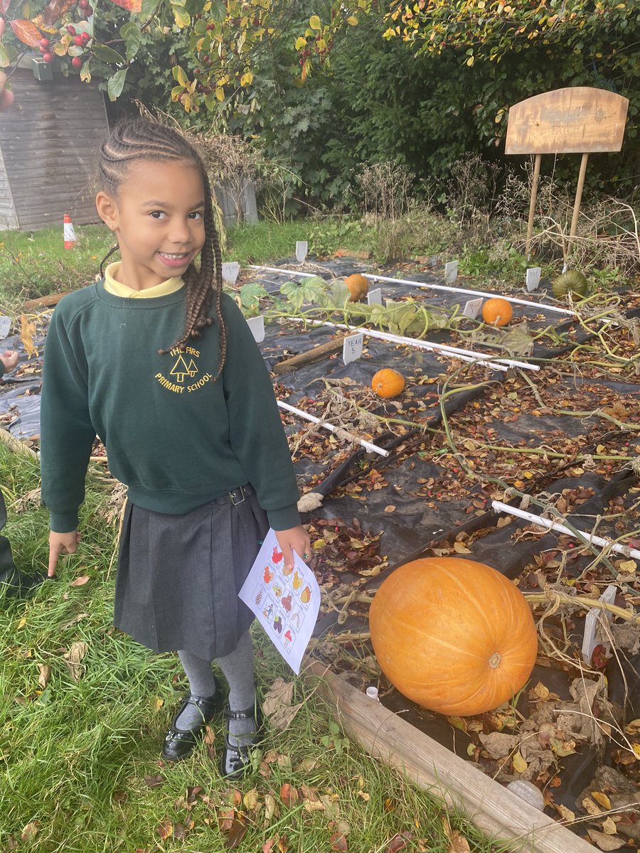 firsprimarysale's tweet image. #Y1Apple We enjoyed exploring our outdoor environment and identified lots of features of autumn! 🍁