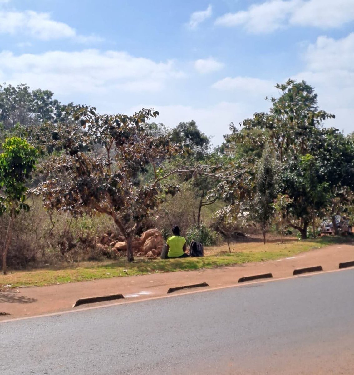 PSN_Nairobi's tweet photo. Great transformation work by @ICRAF & @KURAroads along the Waiyaki Redhill Link Road through tree planting and greening efforts using diverse unique indigenous tree species.
@CWatsonICRAF
#PSN #openspaces #publicspaces #publicspacesforall #placemaking #greenspacesforall https://t.co/8u0lHF4x2W