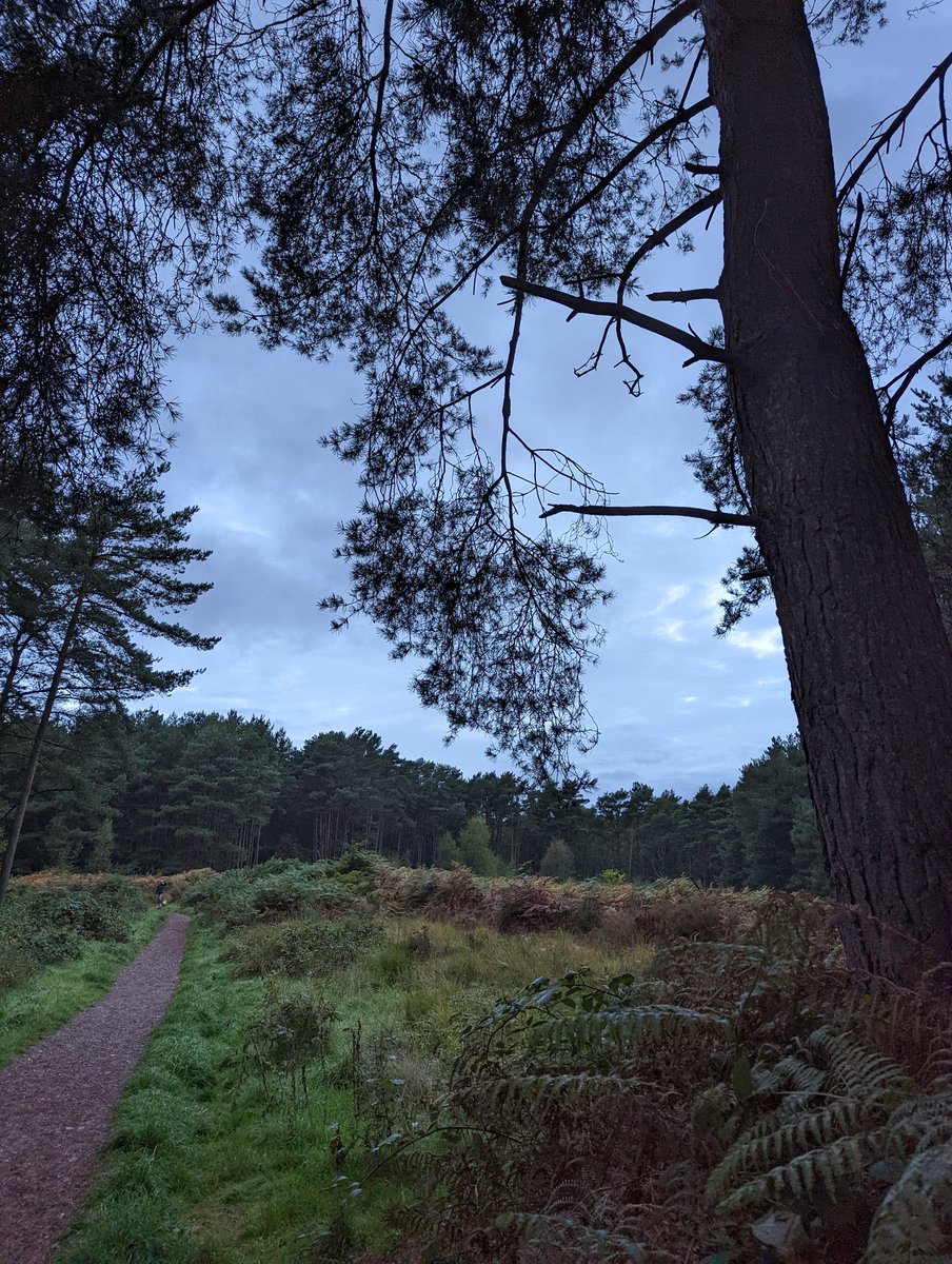 GoLiveOutdoors's tweet photo. Grey skies on this morning's #dog #walk - still double figure temperatures though for #october https://t.co/wQdmvT7Tpk