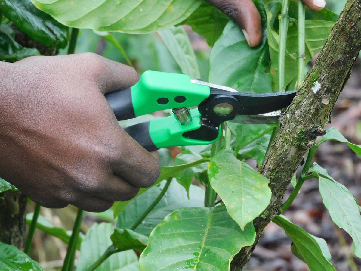 JKCC GENERAL SUPPLIES LTD tweet media